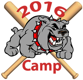 The Bulldog Baseball Coaches And Players Will Be Hosting - Grey Bulldog Throw Blanket (473x279)