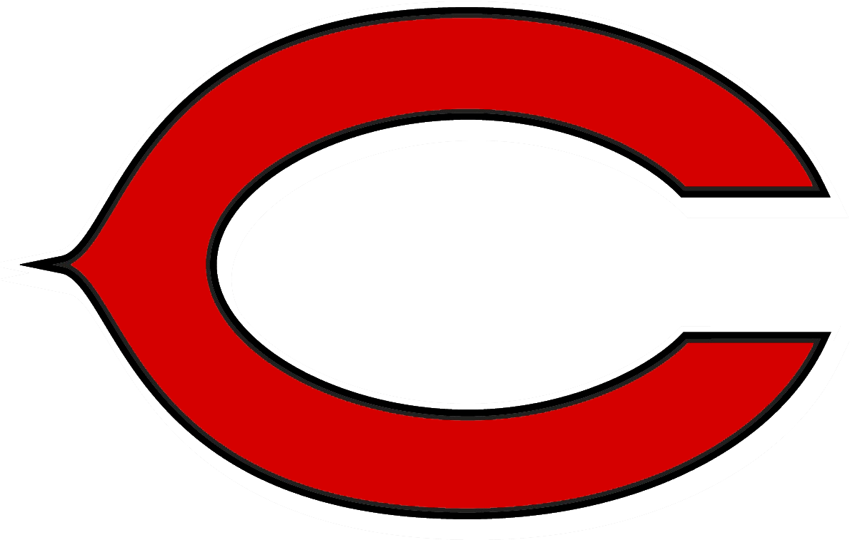 Carthage Bulldogs - Carthage High School Bulldog (1239x774)