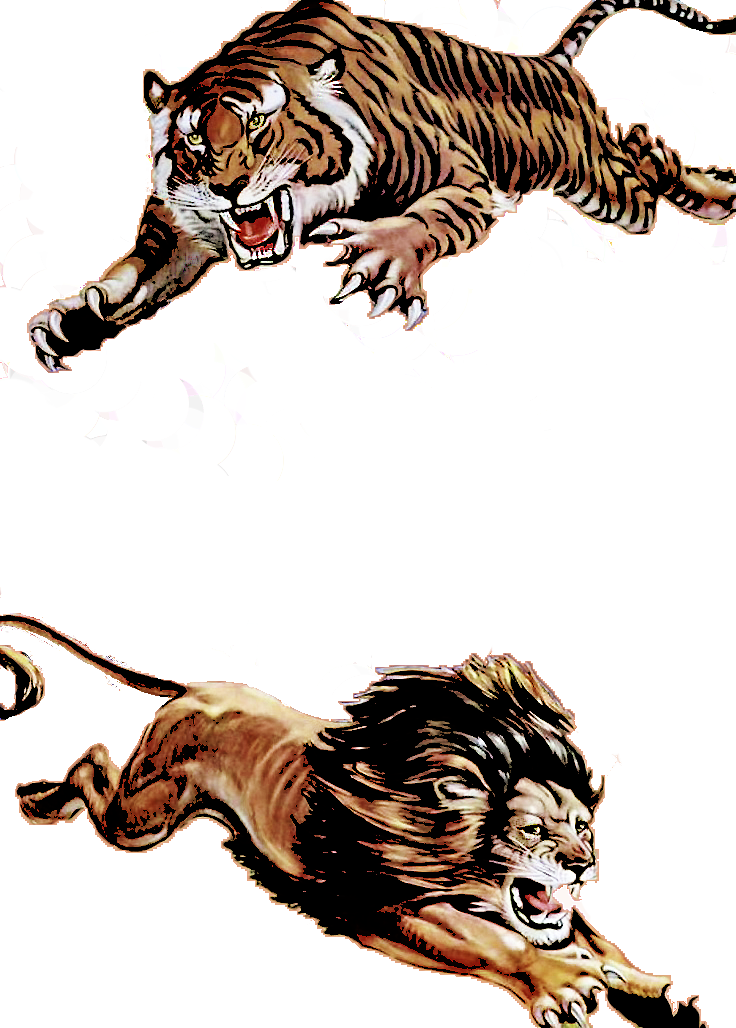 Lion And Tiger Cut-outs - Surviving Jersey By Scott Loring Sanders (736x1028)