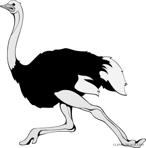 Ostrich Animal Free Black White Clipart Images Clipartblack - Words With Letter O (594x600)