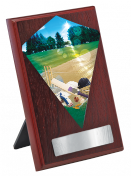 Cricket Diamond Insert Plaque - Cricket Diamond Insert Plaque (350x350)