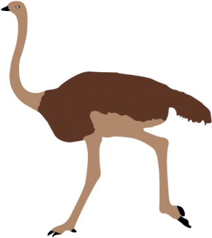 Ostrich Image Clipart Animals Png Images - Ostrich (400x400)