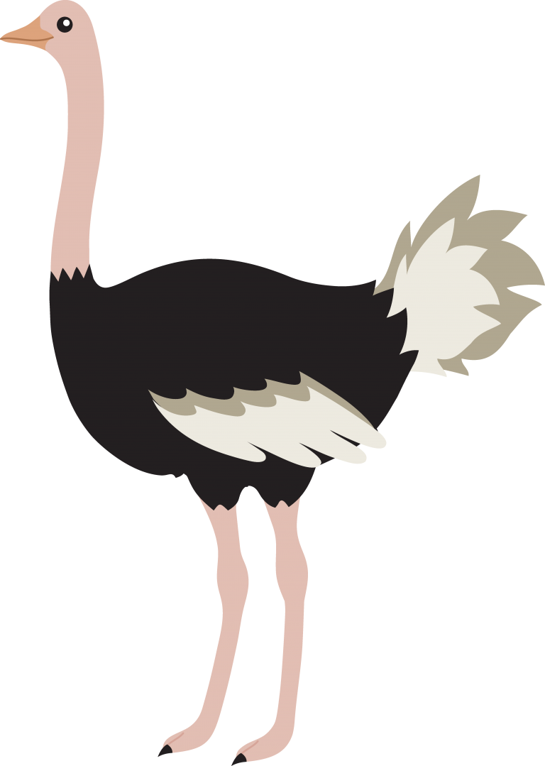 Download Ostrich Png Image - Ostrich Clipart Png (768x1079)