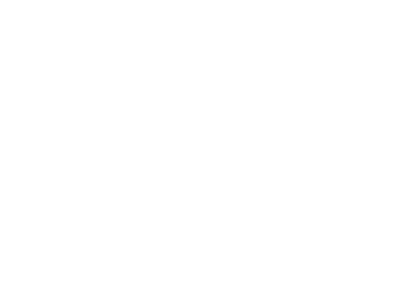 Ostrich Silhouette (600x438)