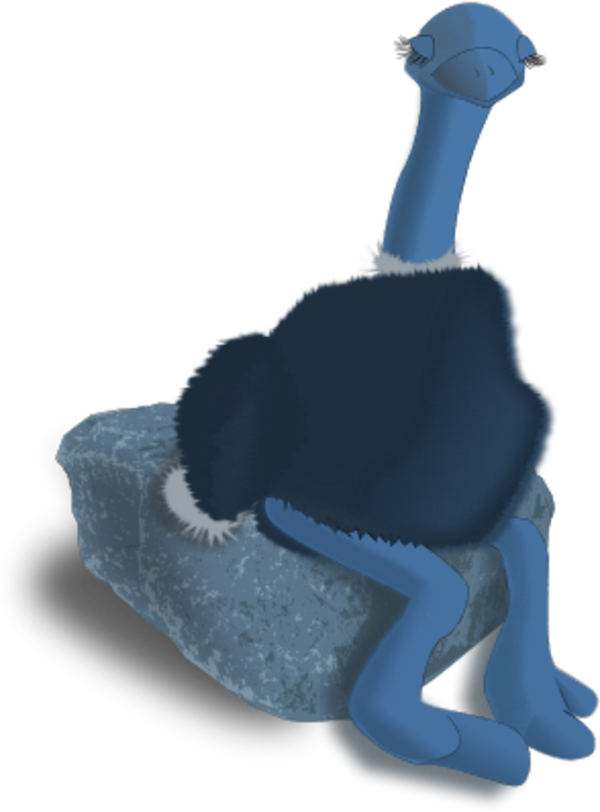 Ostrich Sitting On A Stone - Common Ostrich (600x812)