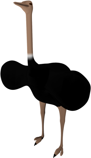 Black Ostrich Png Pictures - Dog Catches Something (1000x1500)