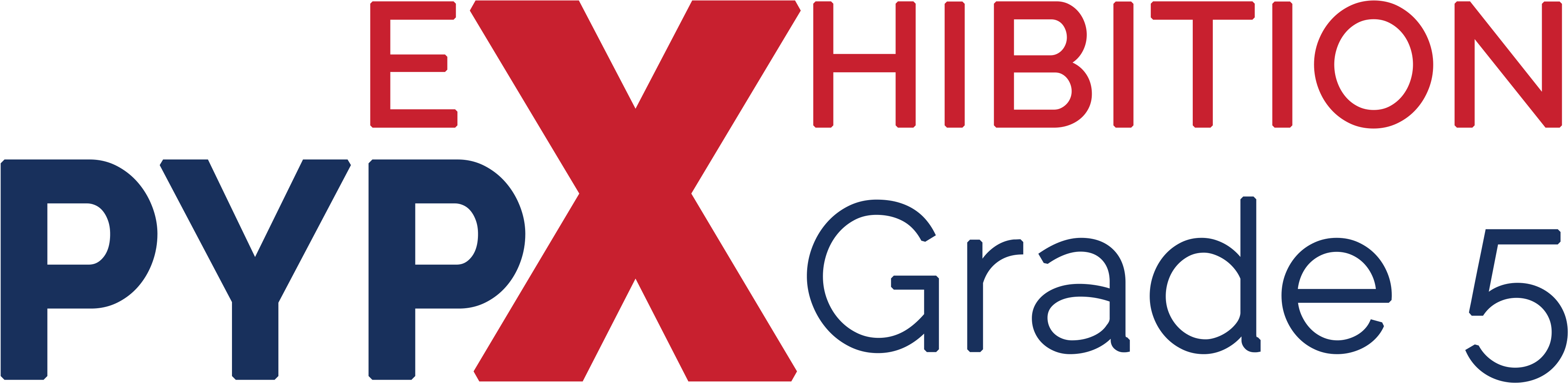 The Primary Years Program Shapes Children's Learning - Washington International School (3884x1006)