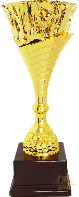 Кубок Высота - 30 См - Trophy (323x800)