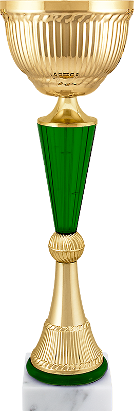 Sport-priz (261x800)