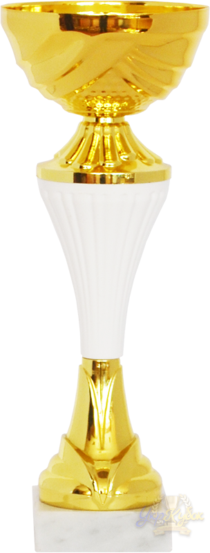 Кубок Высота - 28 См - Funnel (304x800)