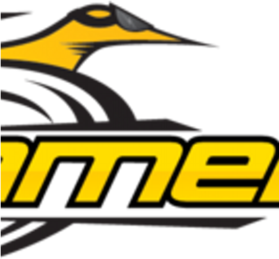 Game Fast - Western Meadowlark (400x400)