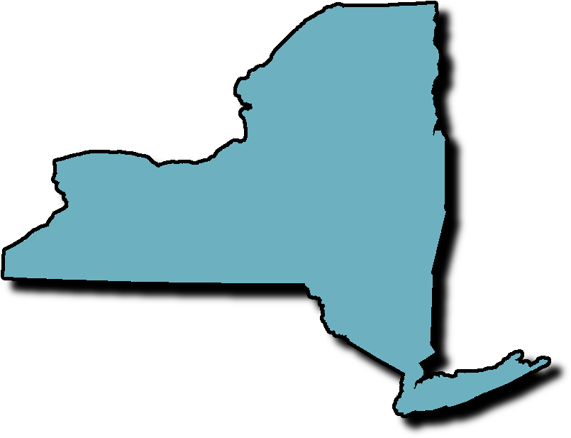 Free Solar Panels In New York - Free Solar Panels In New York (861x718)