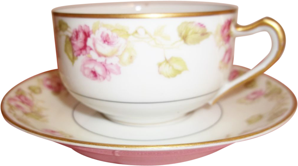 Vintage Haviland Limoges Tea Cup & Saucer - Saucer (1001x1001)
