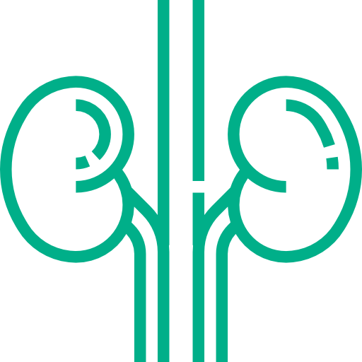 Dermalogica - Kidney (512x512)