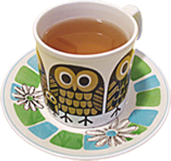 Coffee Teacup Owl Mug - Coffee Teacup Owl Mug (1000x1000)