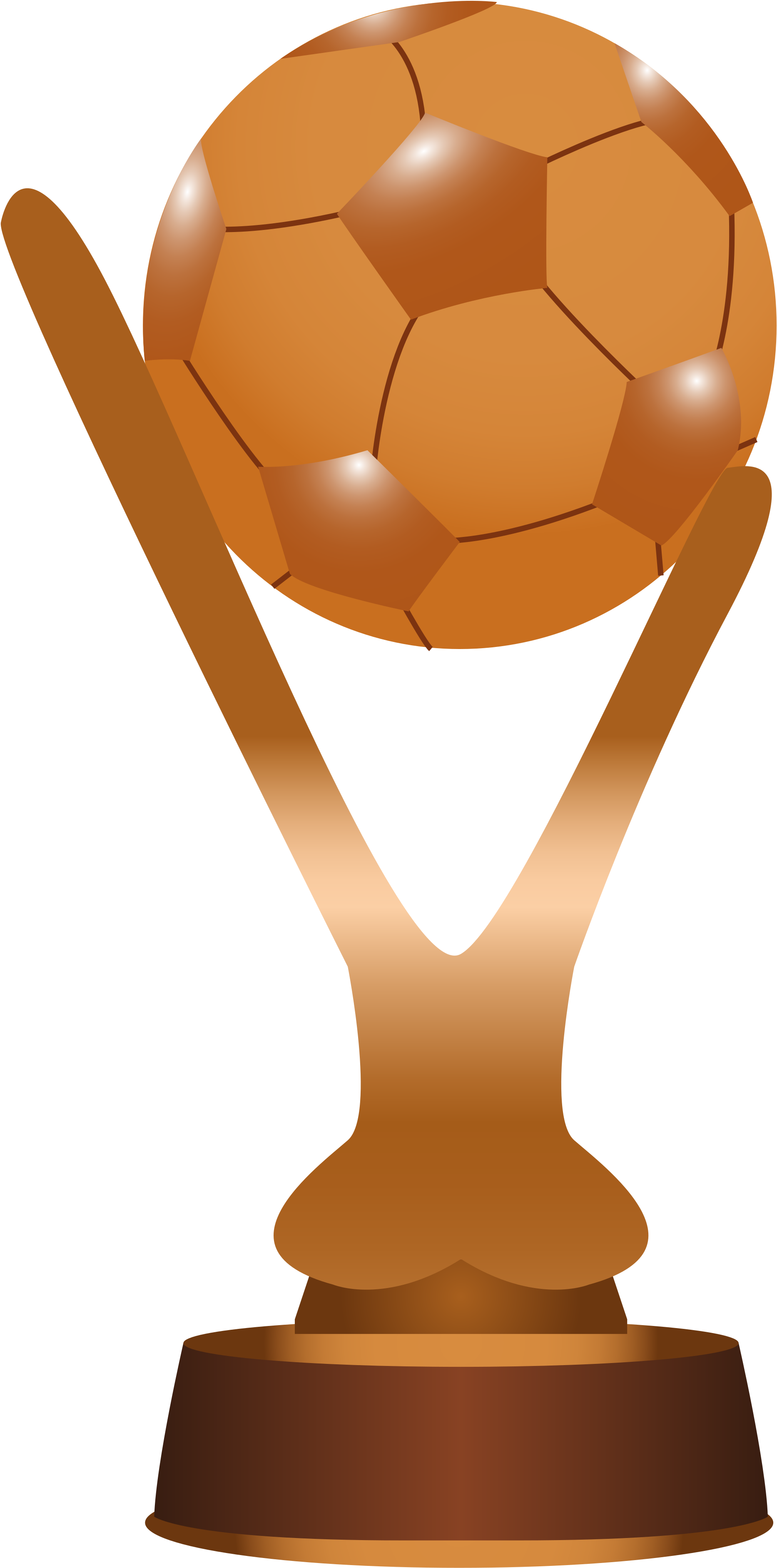 Trofeo Torneo Amistoso - Trophy (2000x3882)