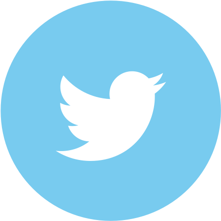 Twitter Icon - Transparent Background Twitter Logo (512x512)