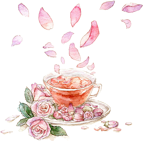 Flowering Tea Beach Rose Clip Art - Flowering Tea Beach Rose Clip Art (563x500)