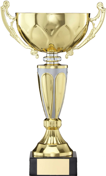 About Us - Gold Trophy No Background (486x598)