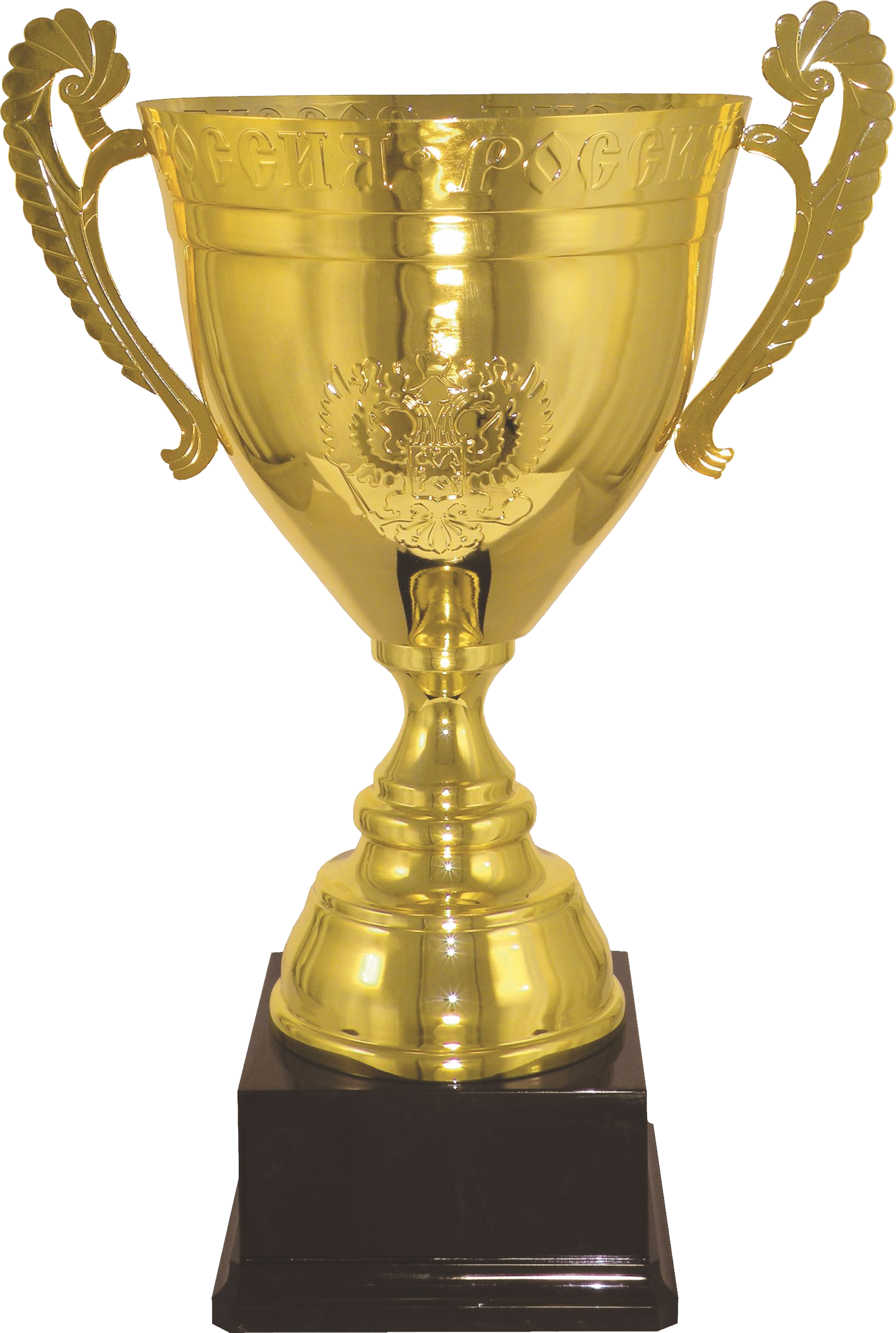 Golden Cup (1588x2362)