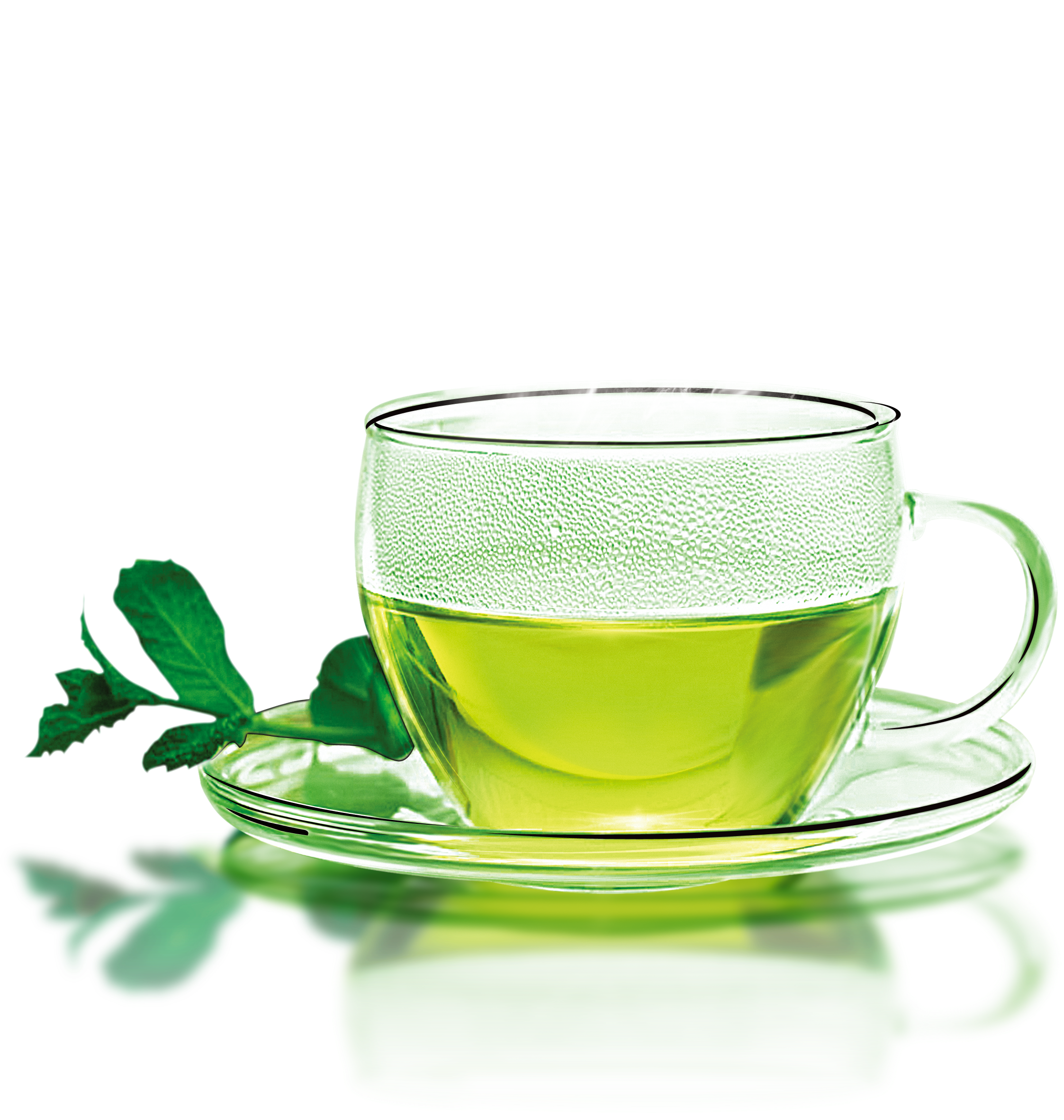 Green Tea Coffee Longjing Tea Teacup - Clear Cup Of Green Tea (2909x2480)