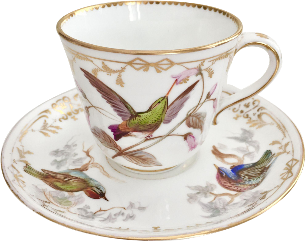 Rare Teacup, Hand Painted Birds By John Randall, Coalport - Saucer (1023x1023)