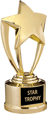 1332-3 - Star Trophy Png (300x400)