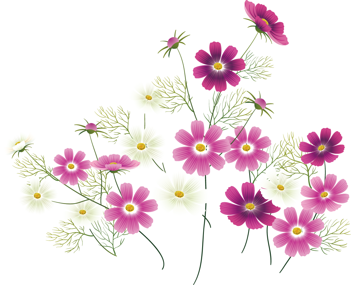 Wildflower Clip Art - Wildflower Clip Art (1186x964)