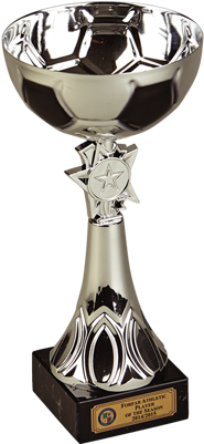 Football Trophies From Sports Supplies - Trophy (400x400)