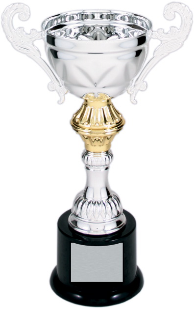 Silver & Gold Metal Corporate Cup Trophy On A Black - Cup Trophy Champion's - Gold / Silver (455x675)