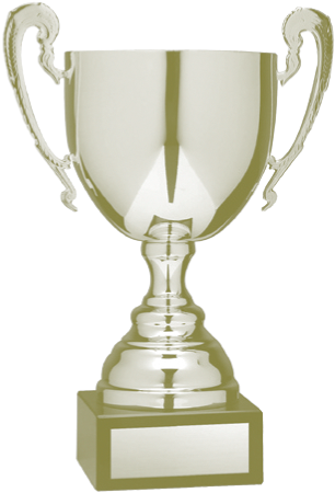 Guarenteed Low Price & Fast Turnaround - Awards Trophies Png (500x500)