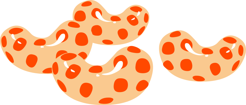 Spice Clipart Free For Download - Jack And The Beanstalk Magic Beans (800x341)