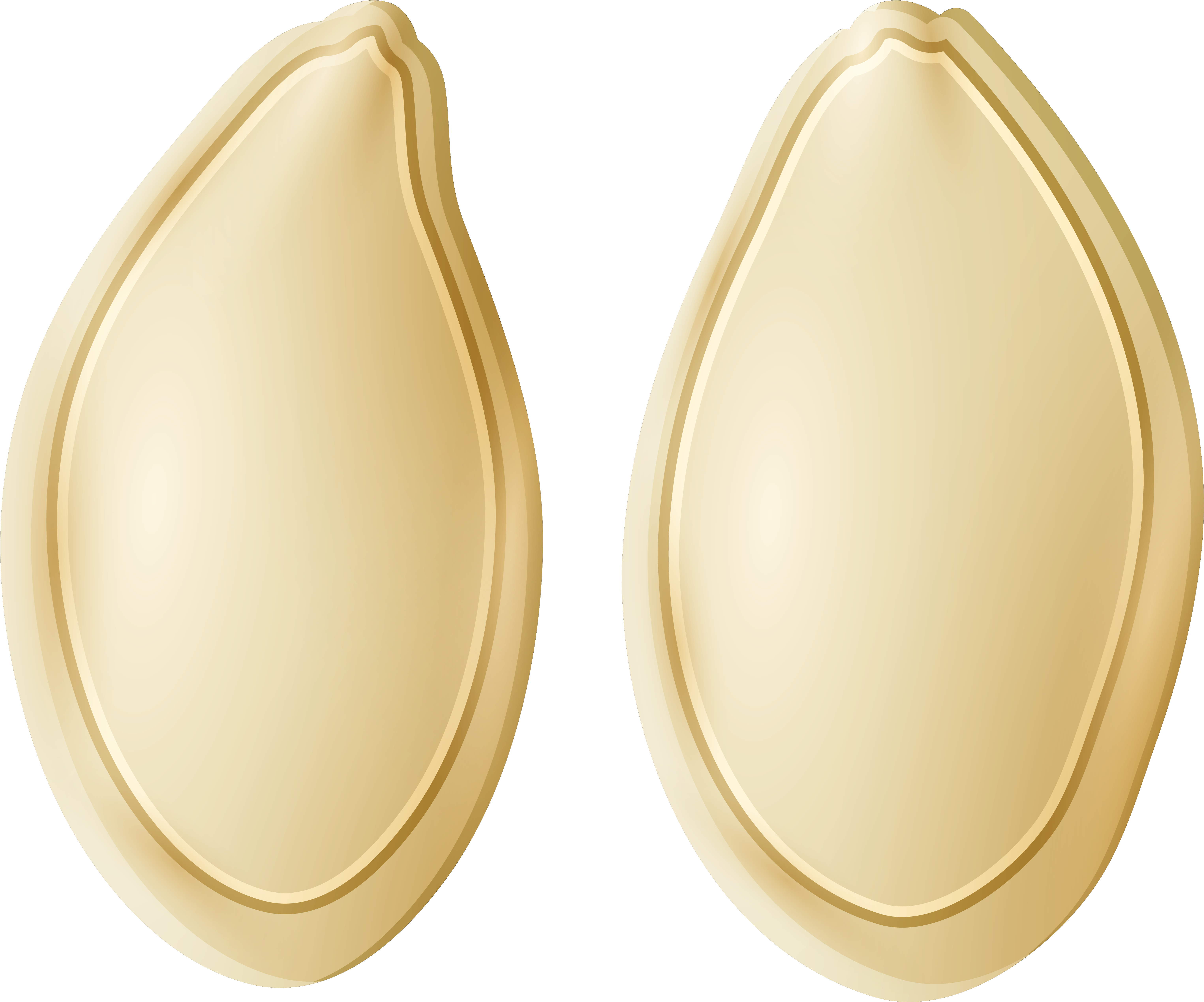 Pumpkin Seeds Png Clip Art - Pumpkin Seeds Clipart Png (6545x5401)