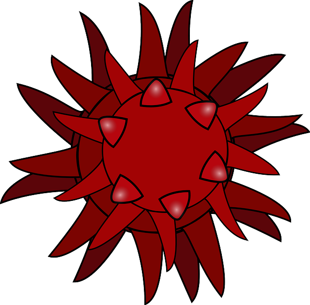 Microorganism, Disease, Germ, Illness, Malady - Clipart Of A Virus (640x630)