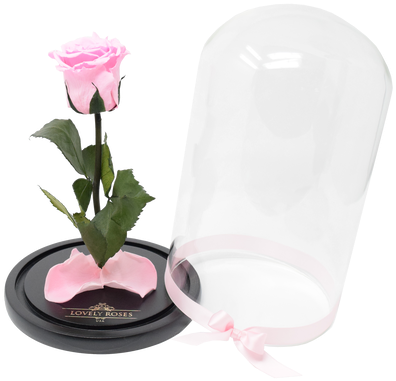 Pink Beauty & The Beast - Artificial Flower (498x498)