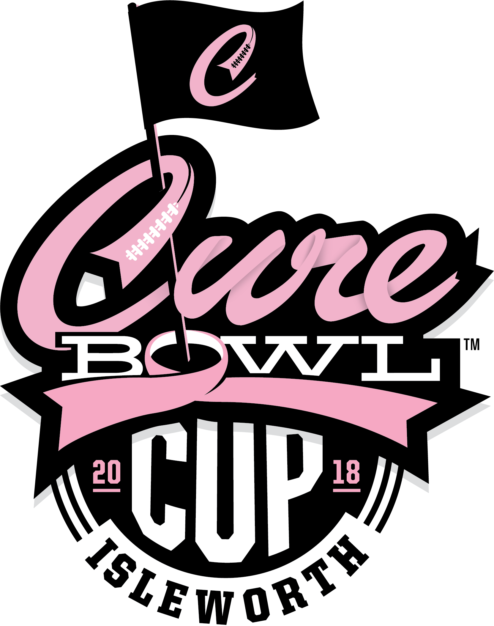 Cure Bowl Cup 2018 Logo - Autonation Cure Bowl 2017 (1663x2106)