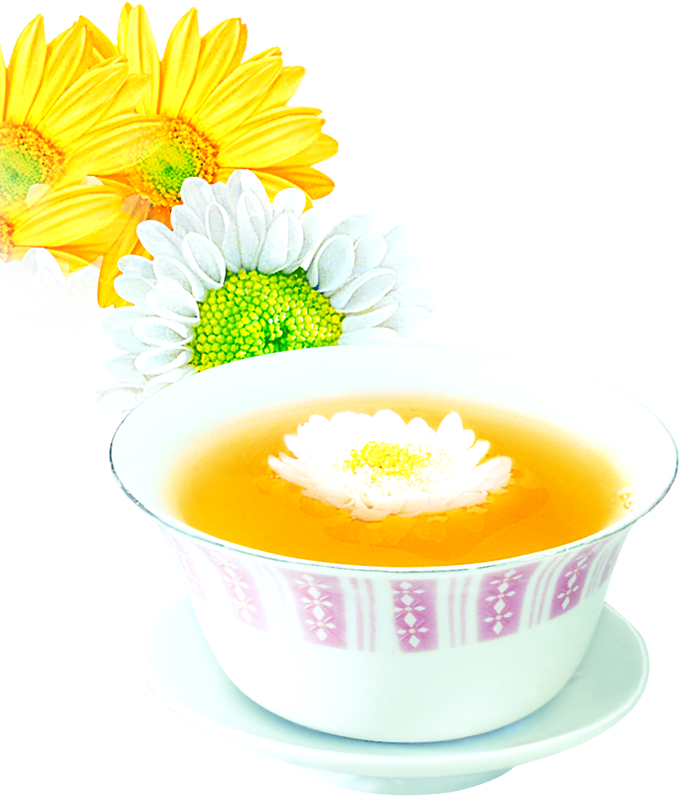 Chrysanthemum Tea Flowering Tea Chrysanthemum Xd7grandiflorum - Chrysanthemum Tea Flowering Tea Chrysanthemum Xd7grandiflorum (1001x1157)