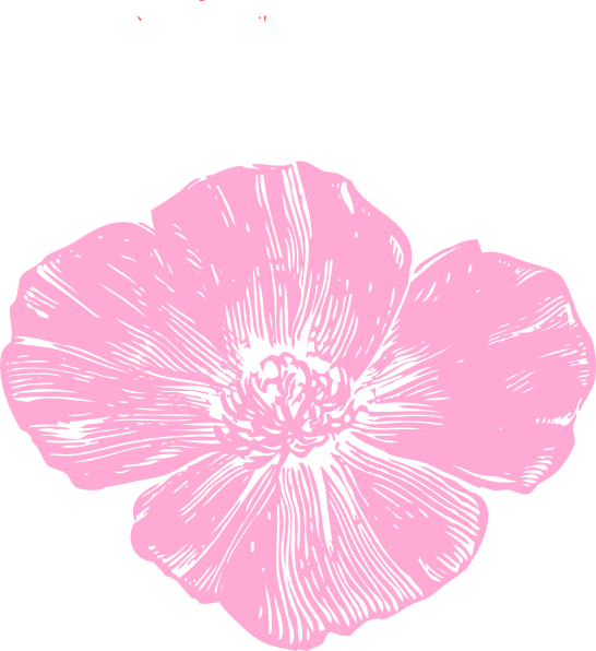 Pink Poppy Flower Clipart (546x596)
