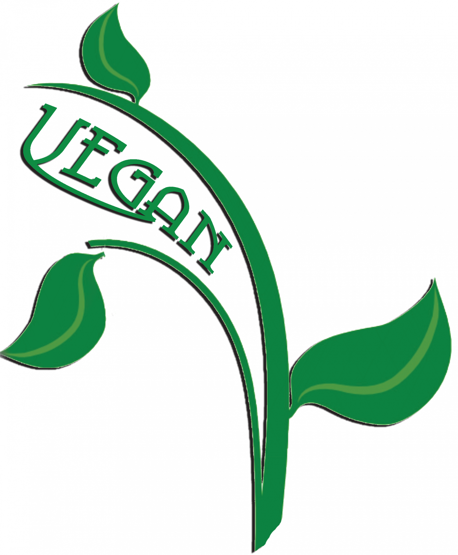 Vegan Castile Body Wash, 1 Gallon - Sewage Treatment (1600x1939)