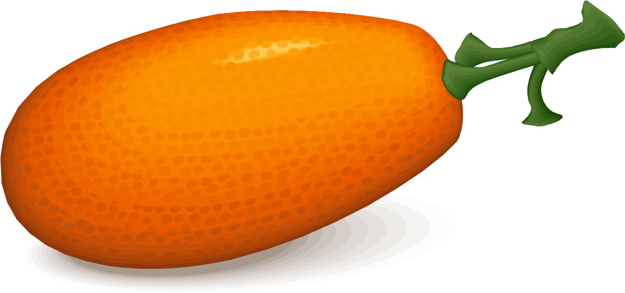 Fruit Kumquat Clip Art - Fruit Kumquat Clip Art (1280x628)