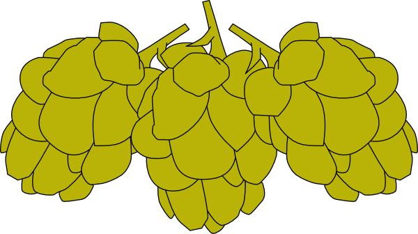 Beer Hops Clipart - Humulus Lupulus Clipart (600x336)