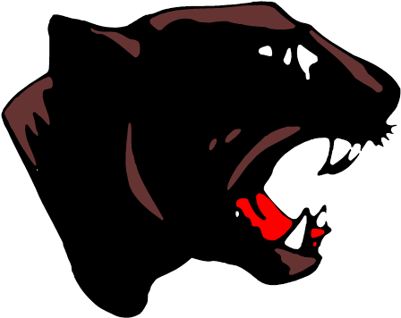 Bangor Union Elementary School District - Stockbridge Panthers (497x395)