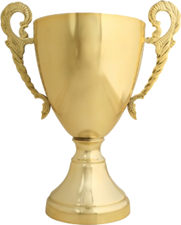 Trophy Png Tran - Transparent Trophy Png (600x744)