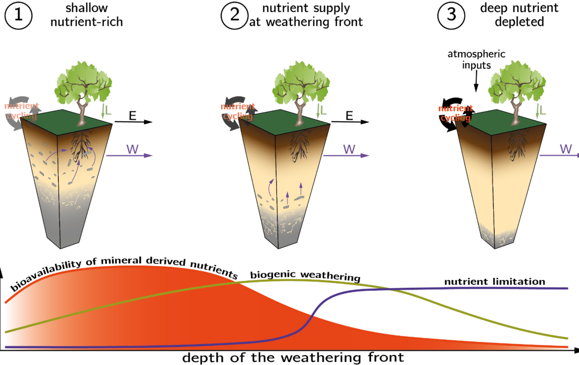 Figure 1 Weathering Endmember Settings And Bioavailability - Diagram (1170x737)