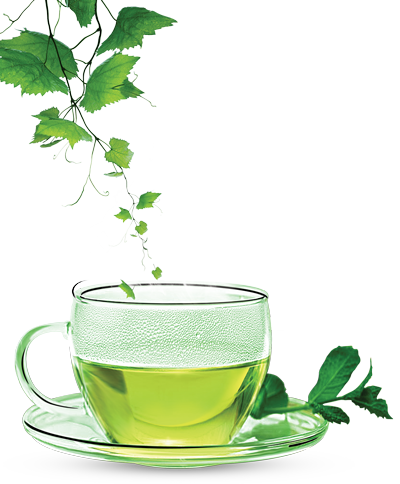 Tea Cup Clipart Green Tea - Green Tea Png (400x484)