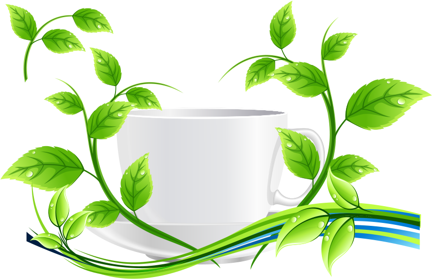 Green Tea Euclidean Vector Leaf - Green Tea Euclidean Vector Leaf (1000x1000)