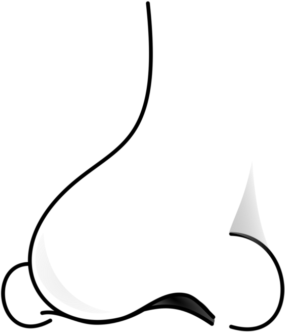 Nose Clipart Png - Clip Art Black And White Nose (570x660)