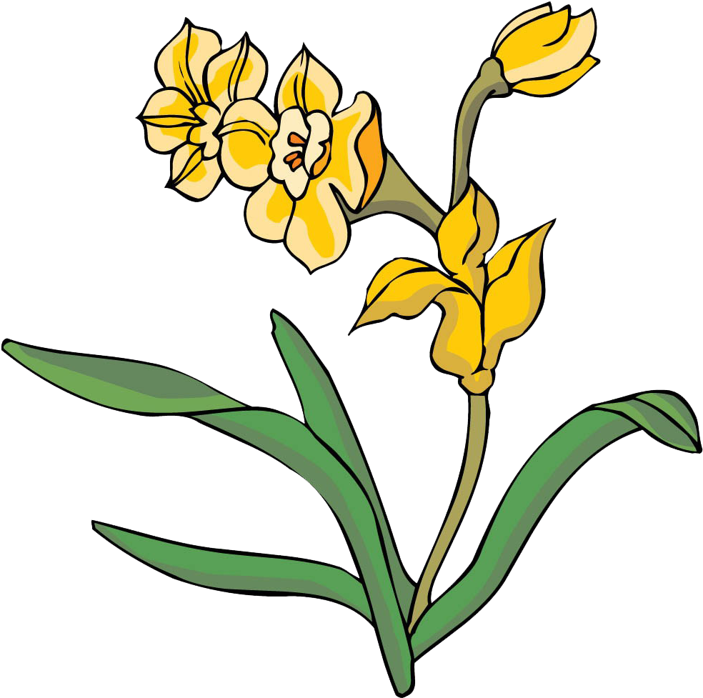 Yellow Floral Design Chrysanthemum Clip Art - Yellow Floral Design Chrysanthemum Clip Art (1024x1024)