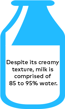 Fun Milk Facts - Fun Milk Facts (300x400)