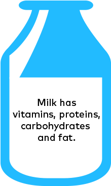 Fun Milk Facts - Fun Milk Facts (300x400)